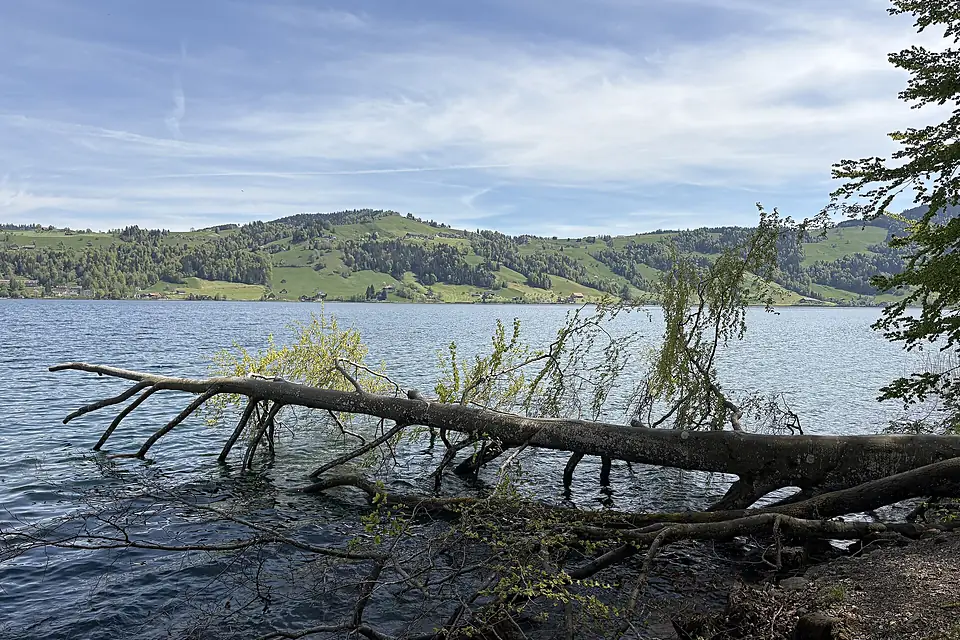 Aegerisee 2026