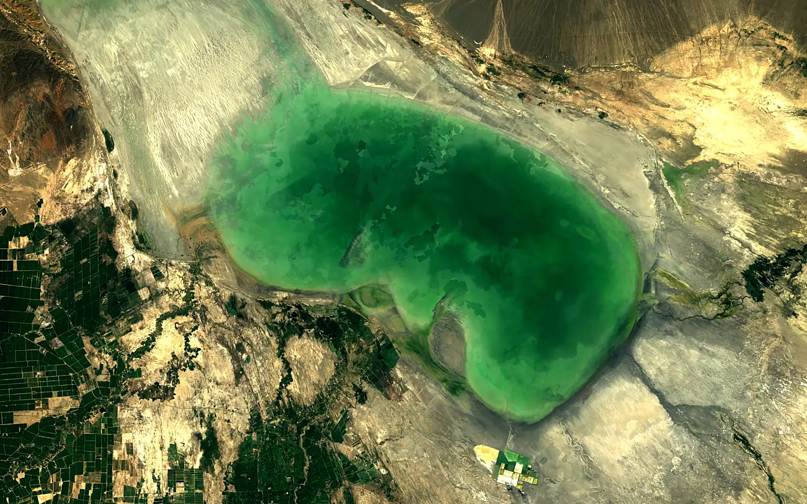 Aibi Lake seen from space (Sentinel-2)