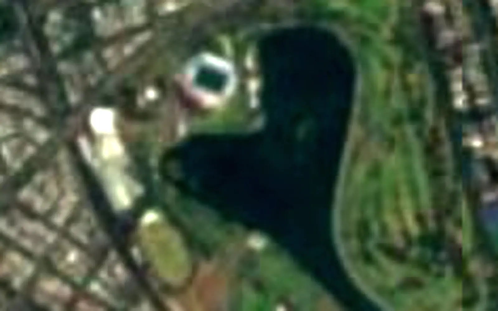 Albert Park and Lake seen from space (Sentinel-2)
