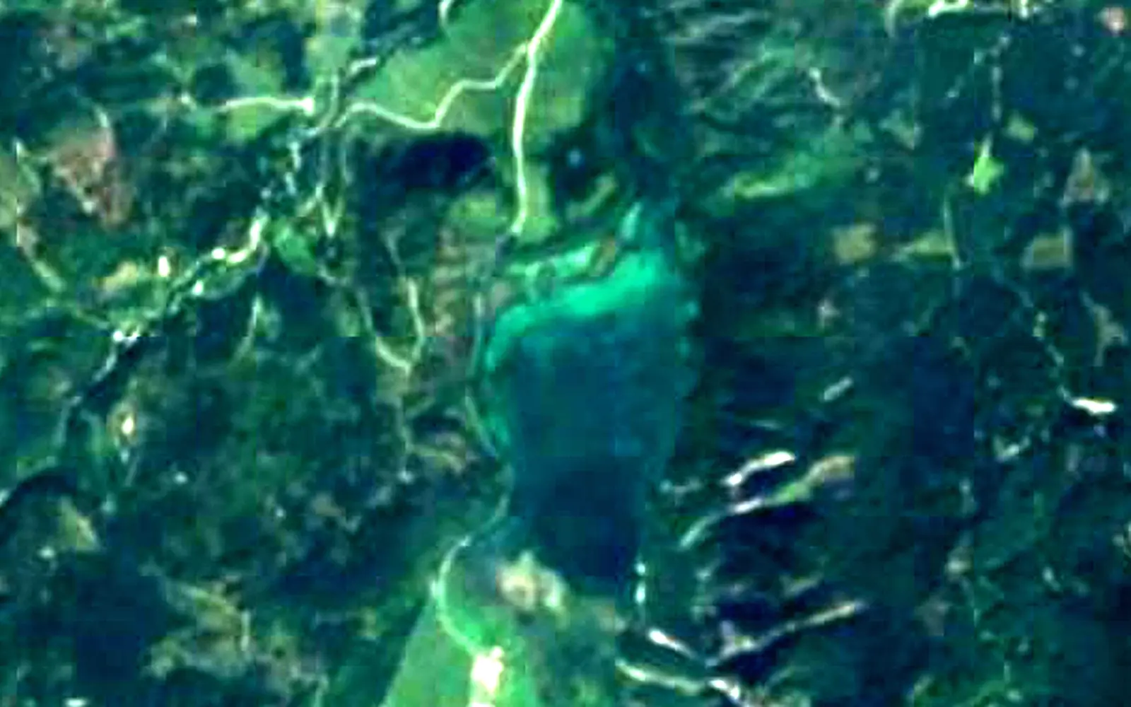 Almsee seen from space (Sentinel-2)