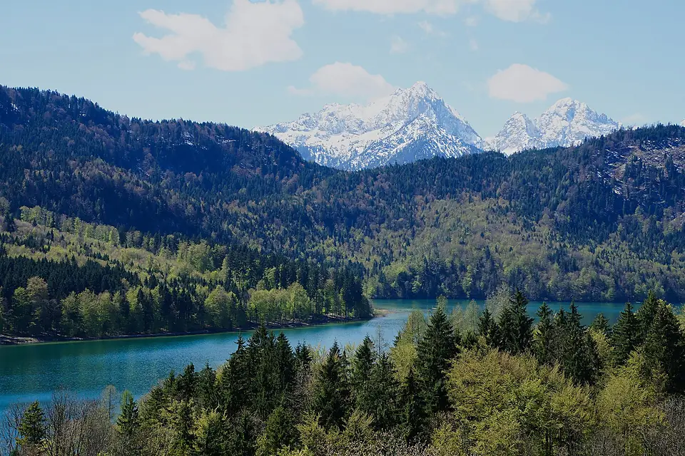 Alpensee view from Schloss Hohenschwangau ( Bavaria) (1)