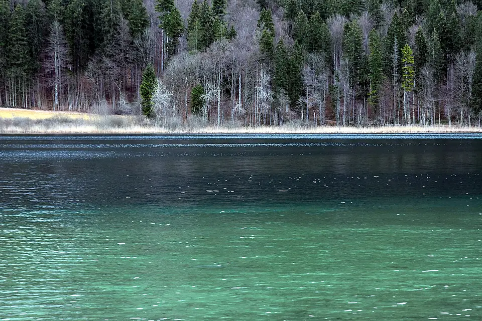 Alpensee