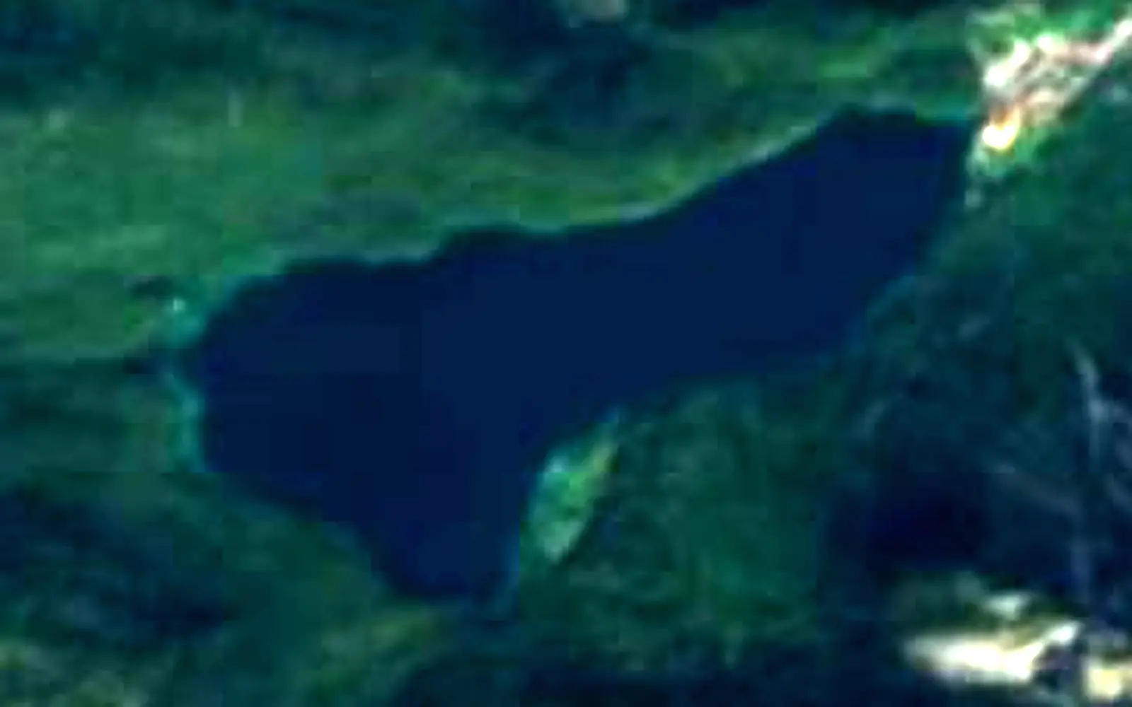 Alpsee seen from space (Sentinel-2)
