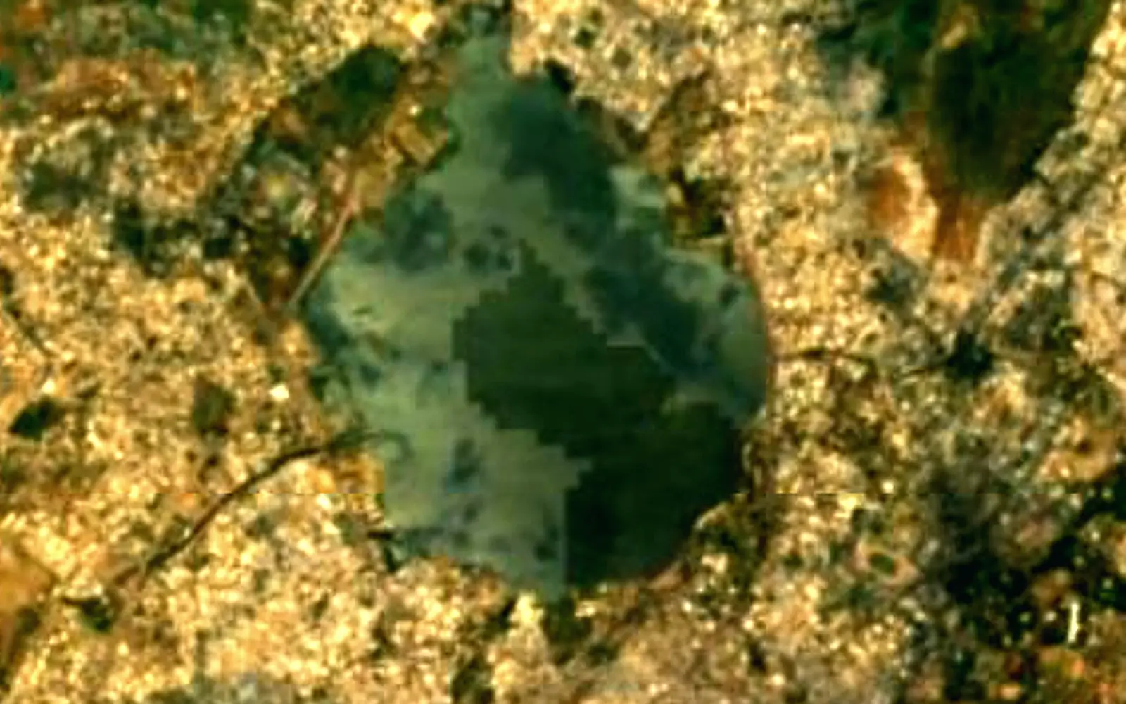 Ana Sagar Lake seen from space (Sentinel-2)
