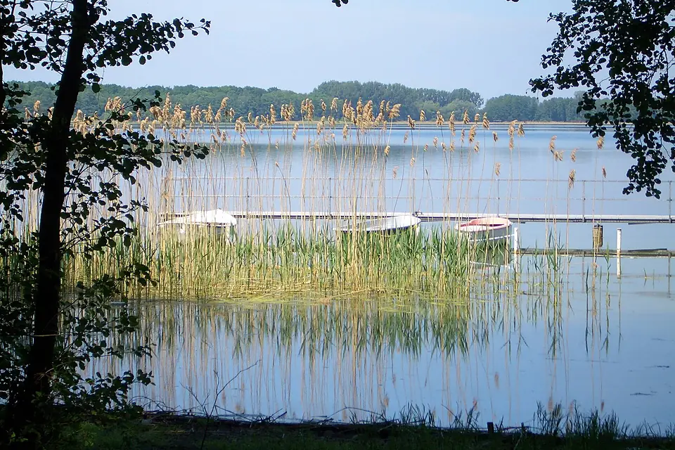 Arendsee (reed, boats)