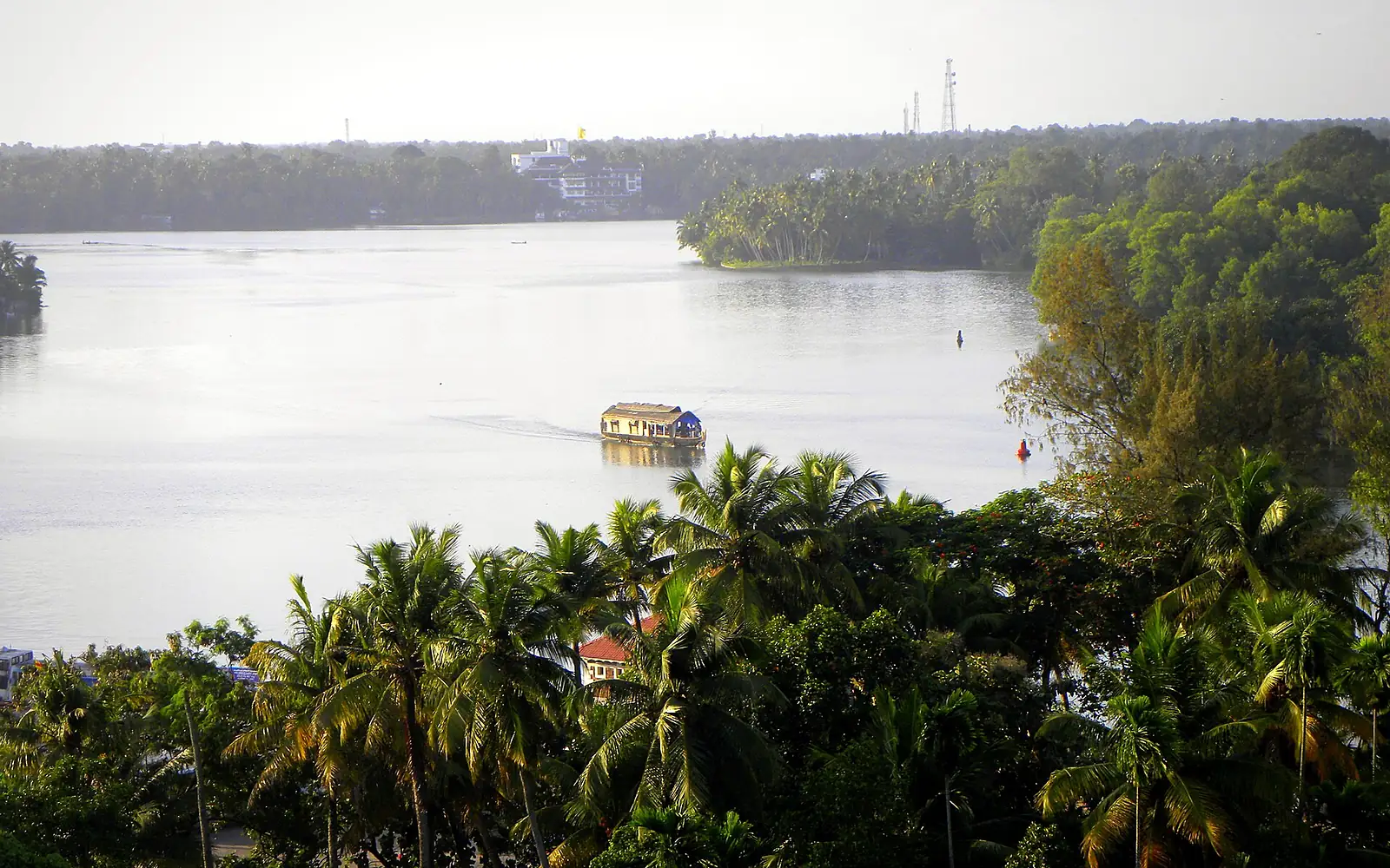 A top view of Ashtamudi backwaters