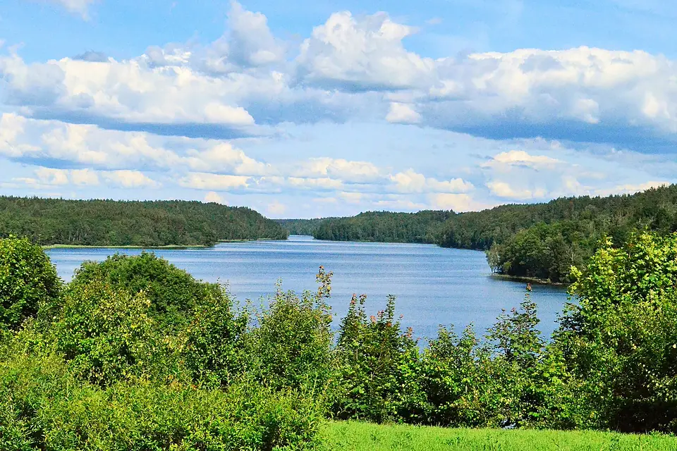 Asveja nuo Žalktynės