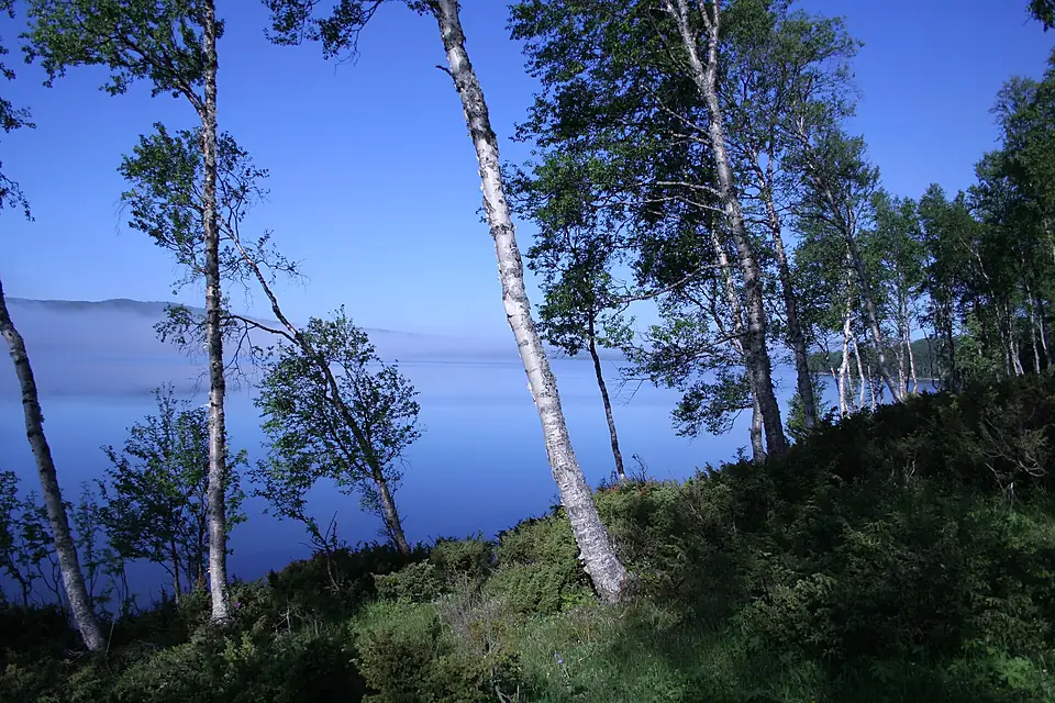 Morgendunst-am-Aursunden