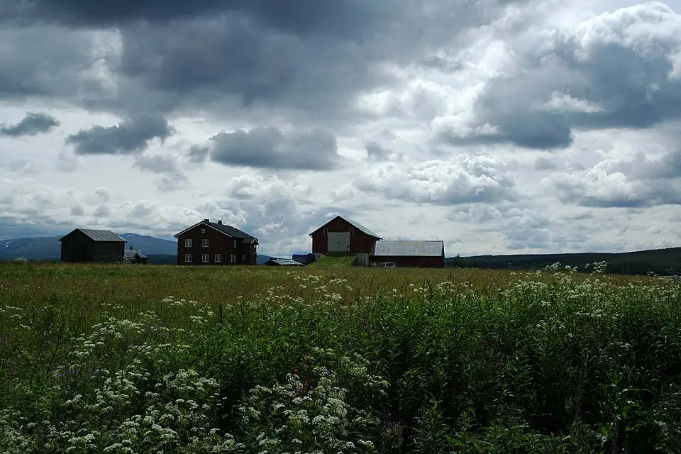 Aursunden