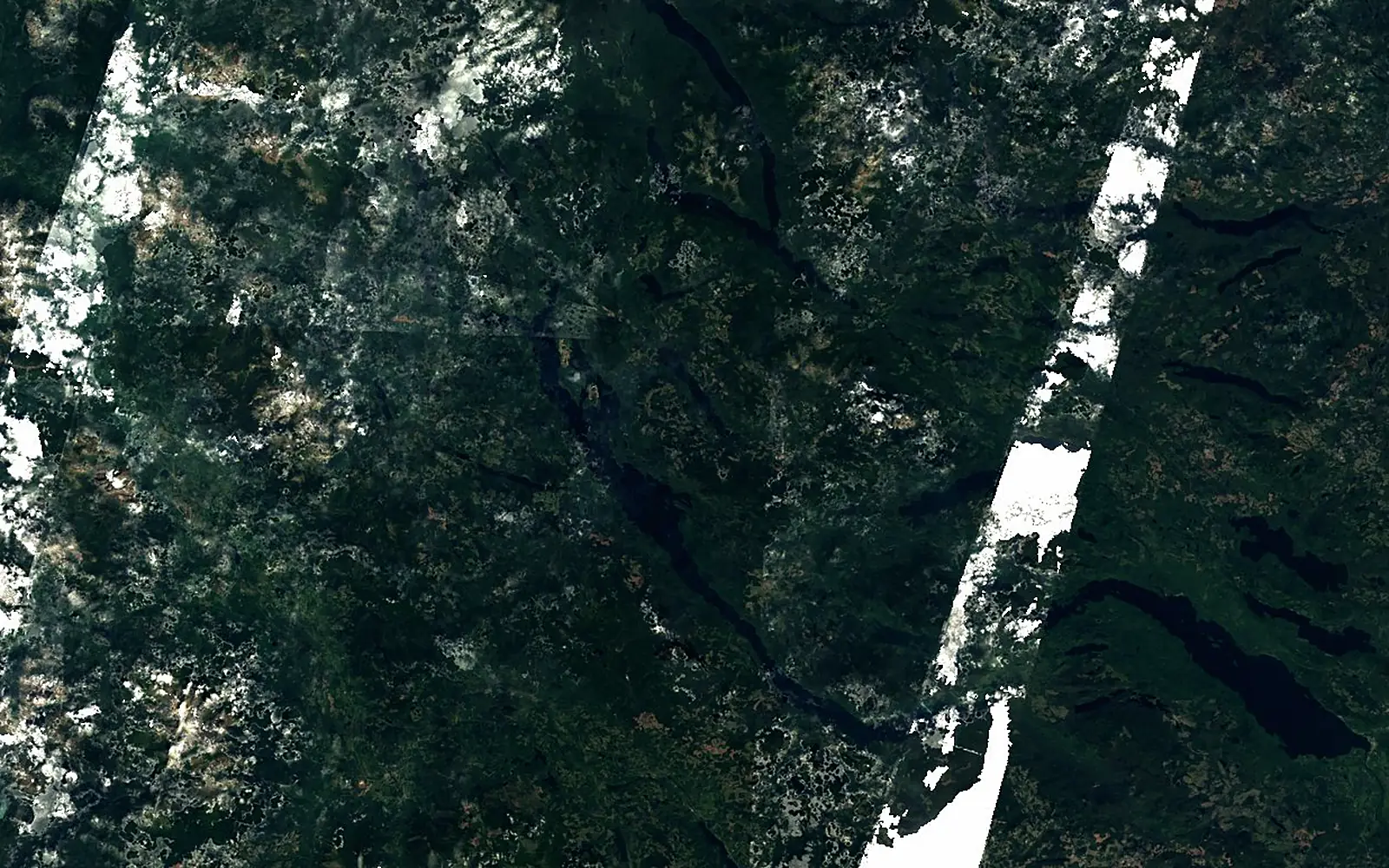 Babine Lake seen from space (Sentinel-2)