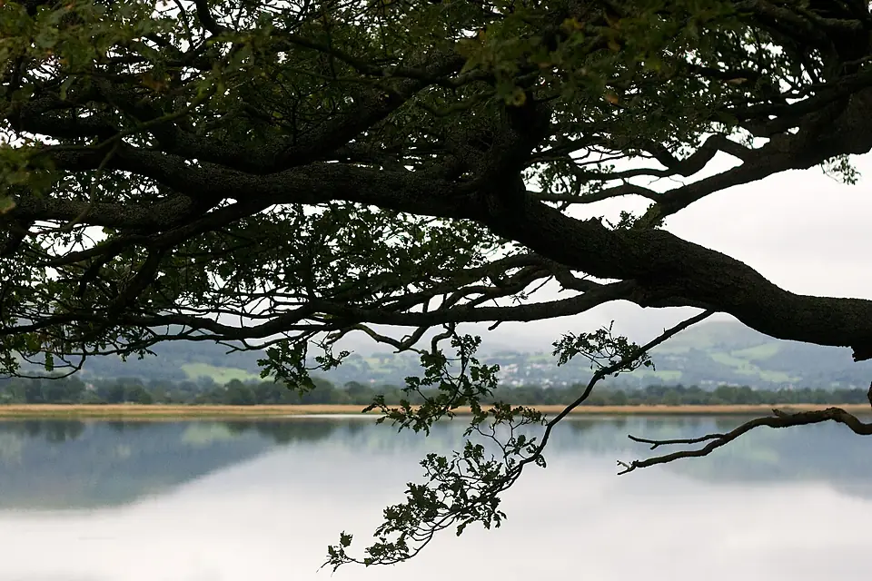 Bassenthwaite Lake-2819504876