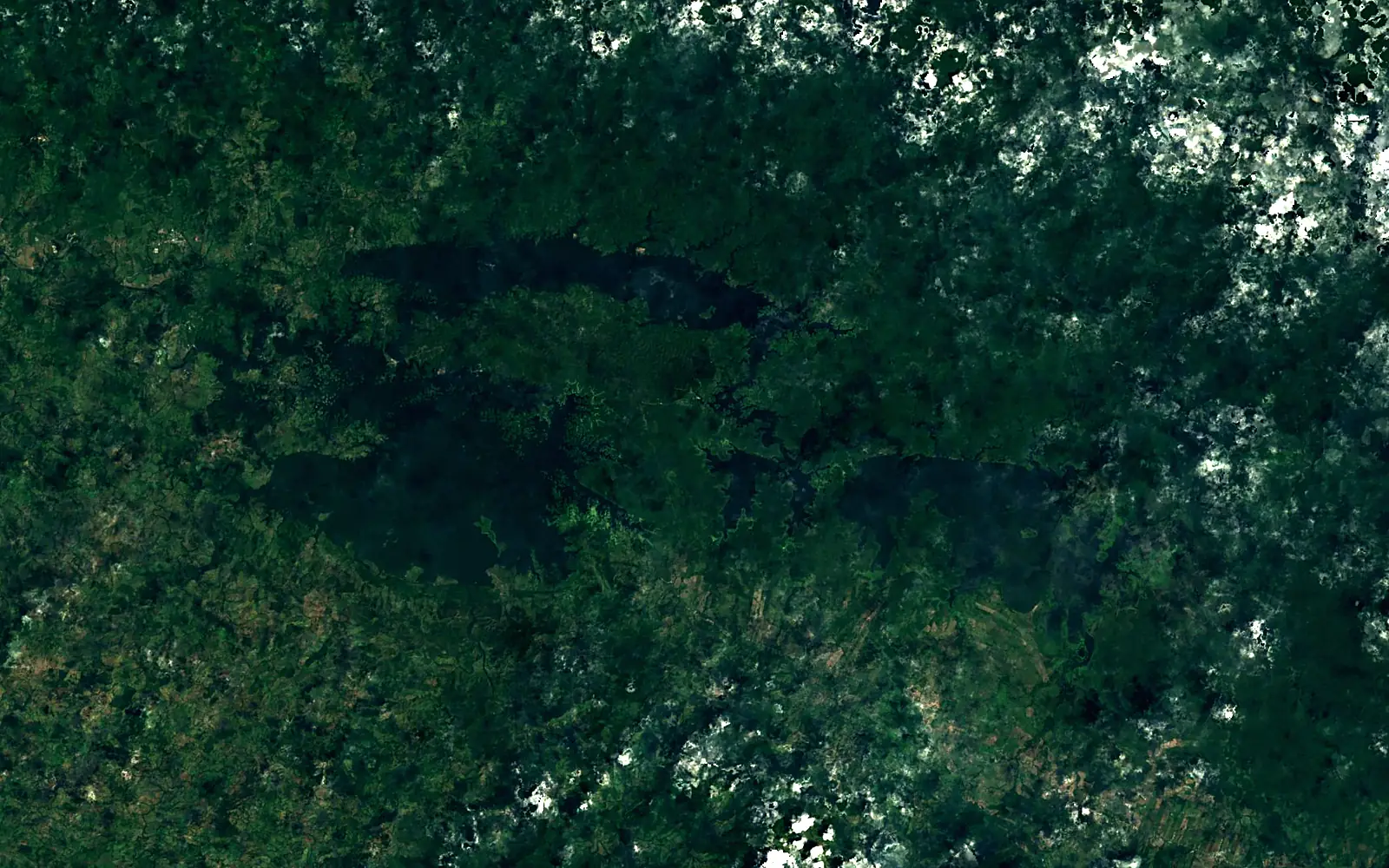 Bayano Lake seen from space (Sentinel-2)