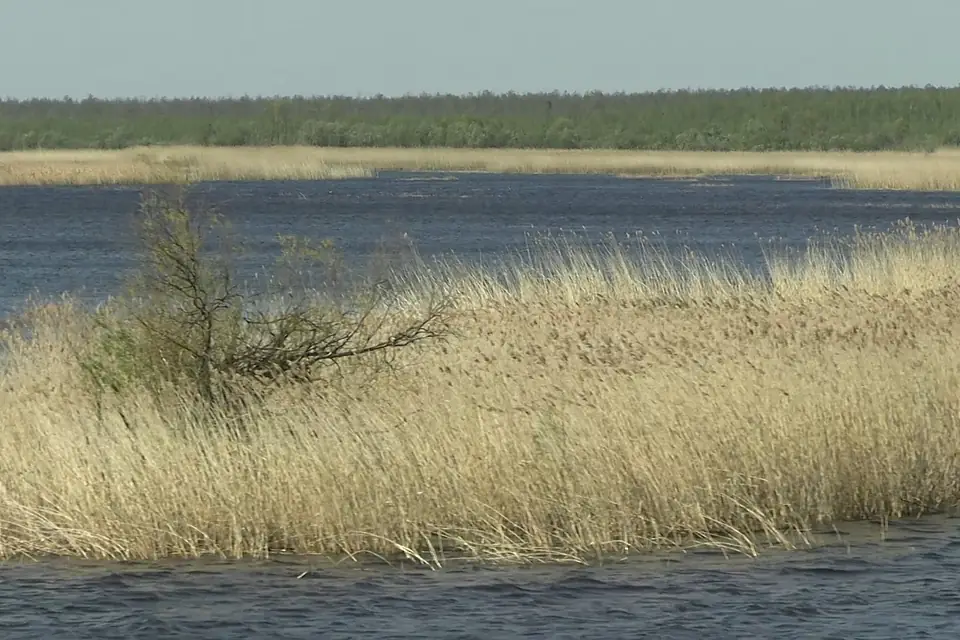 20210520 Lake Beloye (Vologda Oblast) 01