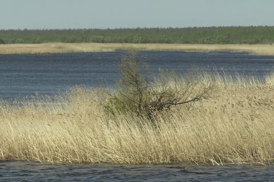 20210520 Lake Beloye (Vologda Oblast) 02