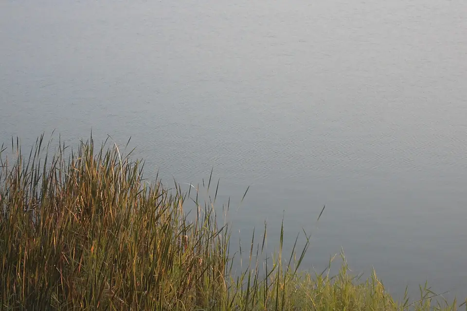 Serene waters of Bhadrakali lake at Warangal