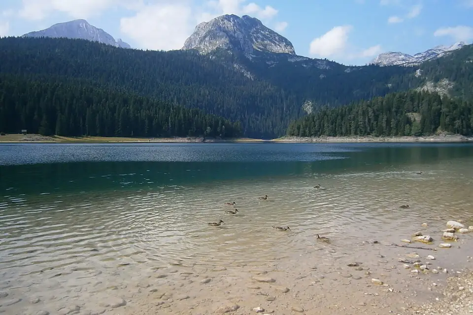 Big Black Lake