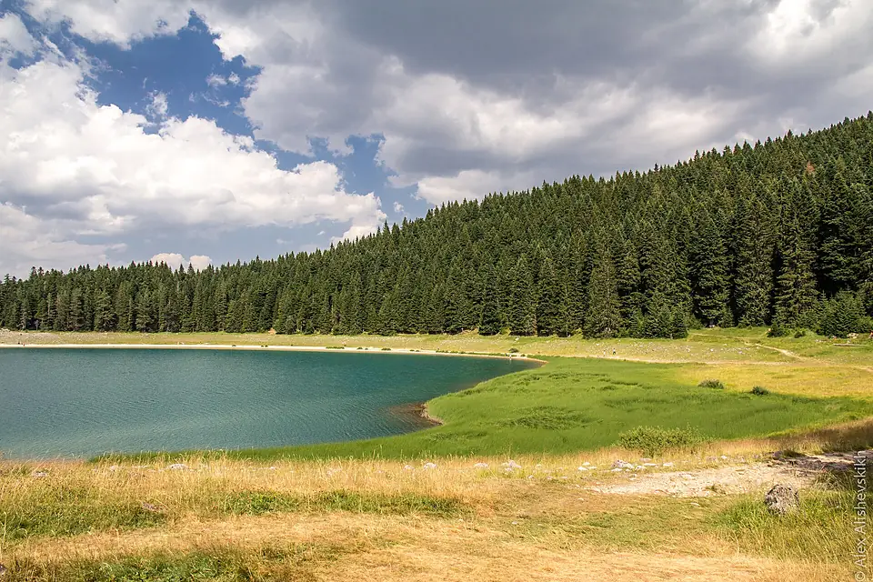 Black Lake Crno jezero, Durmitor (24537360287)