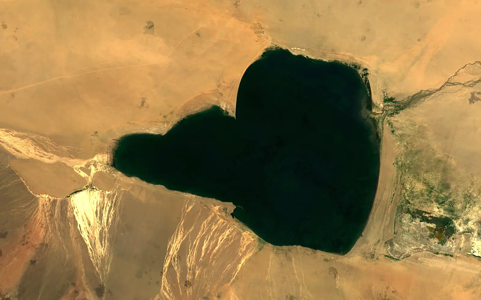Böön Tsagaan Lake seen from space (Sentinel-2)