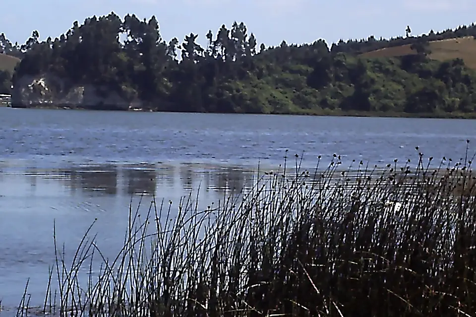 Budi Lake 02