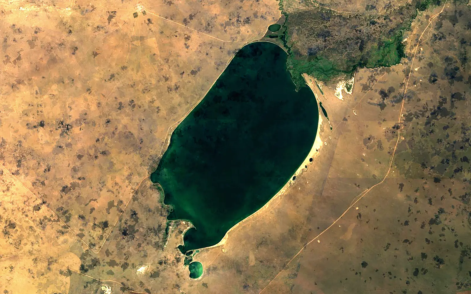 Buir Lake seen from space (Sentinel-2)