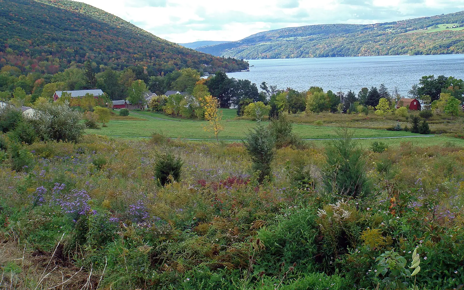 Canandaigua Lake scenic