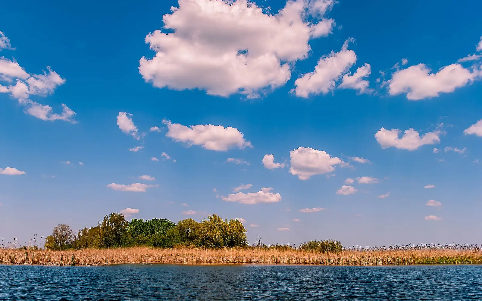 Carska bara, Serbia