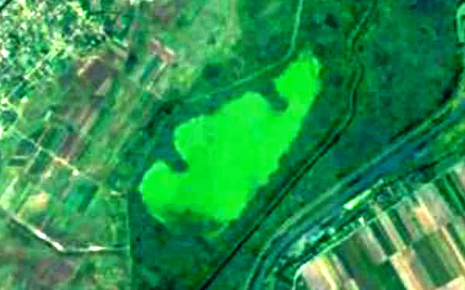 Carska Bara seen from space (Sentinel-2)