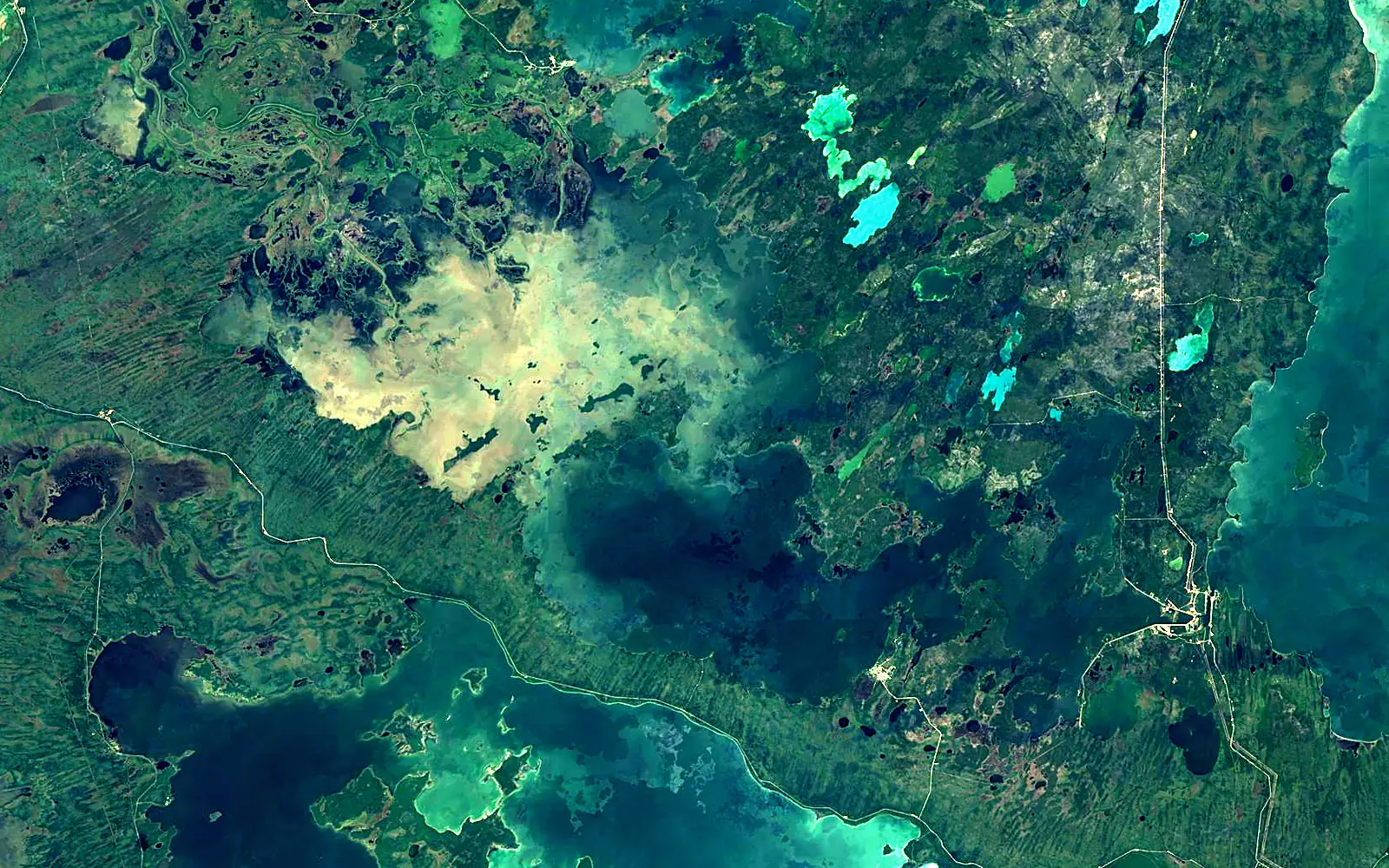 Cedar Lake seen from space (Sentinel-2)