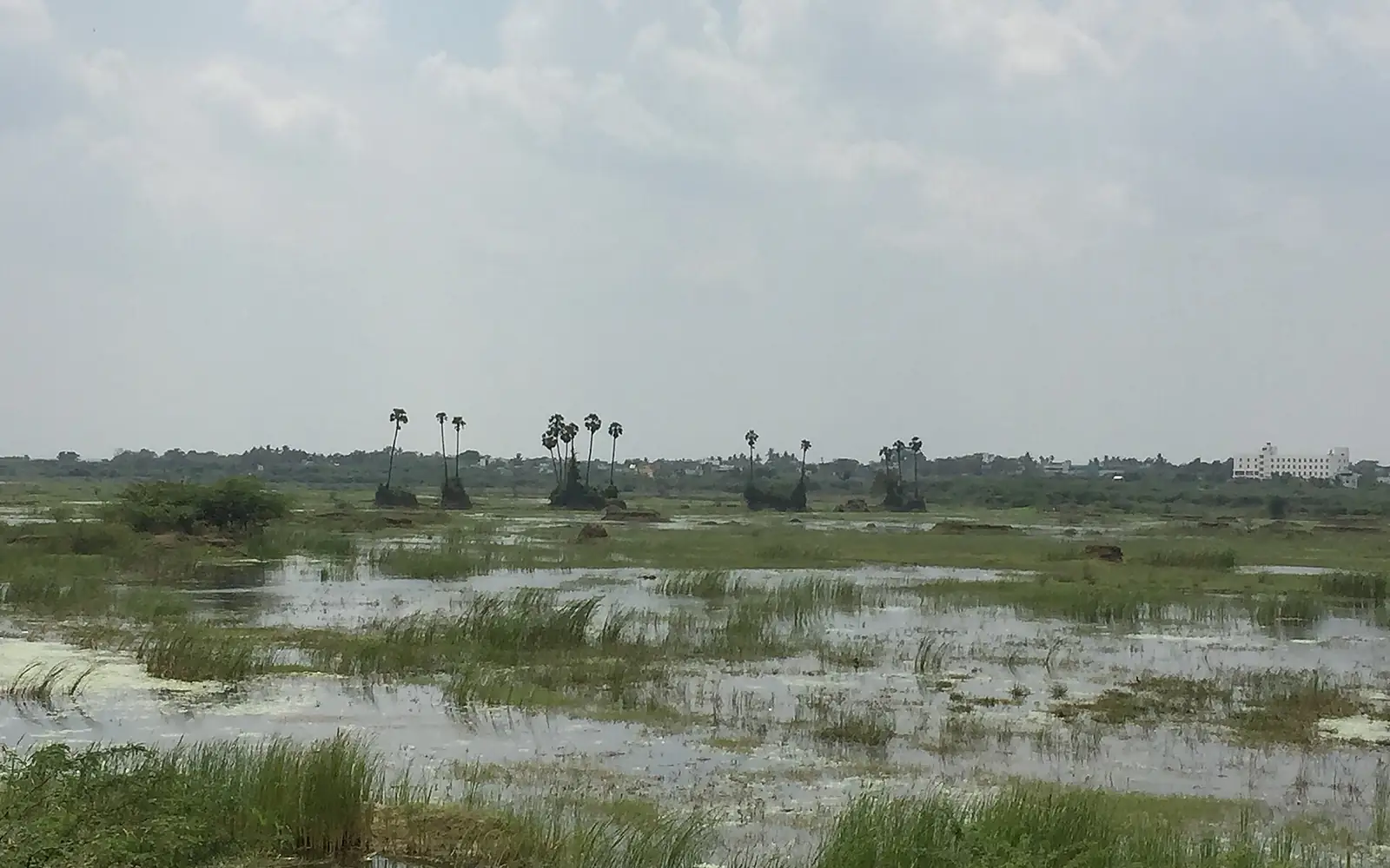 Water Level of Chembarambakkam Lake (15 March 2017)