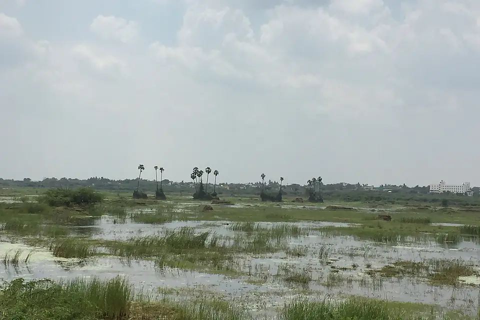 Water Level of Chembarambakkam Lake (16 March 2018)
