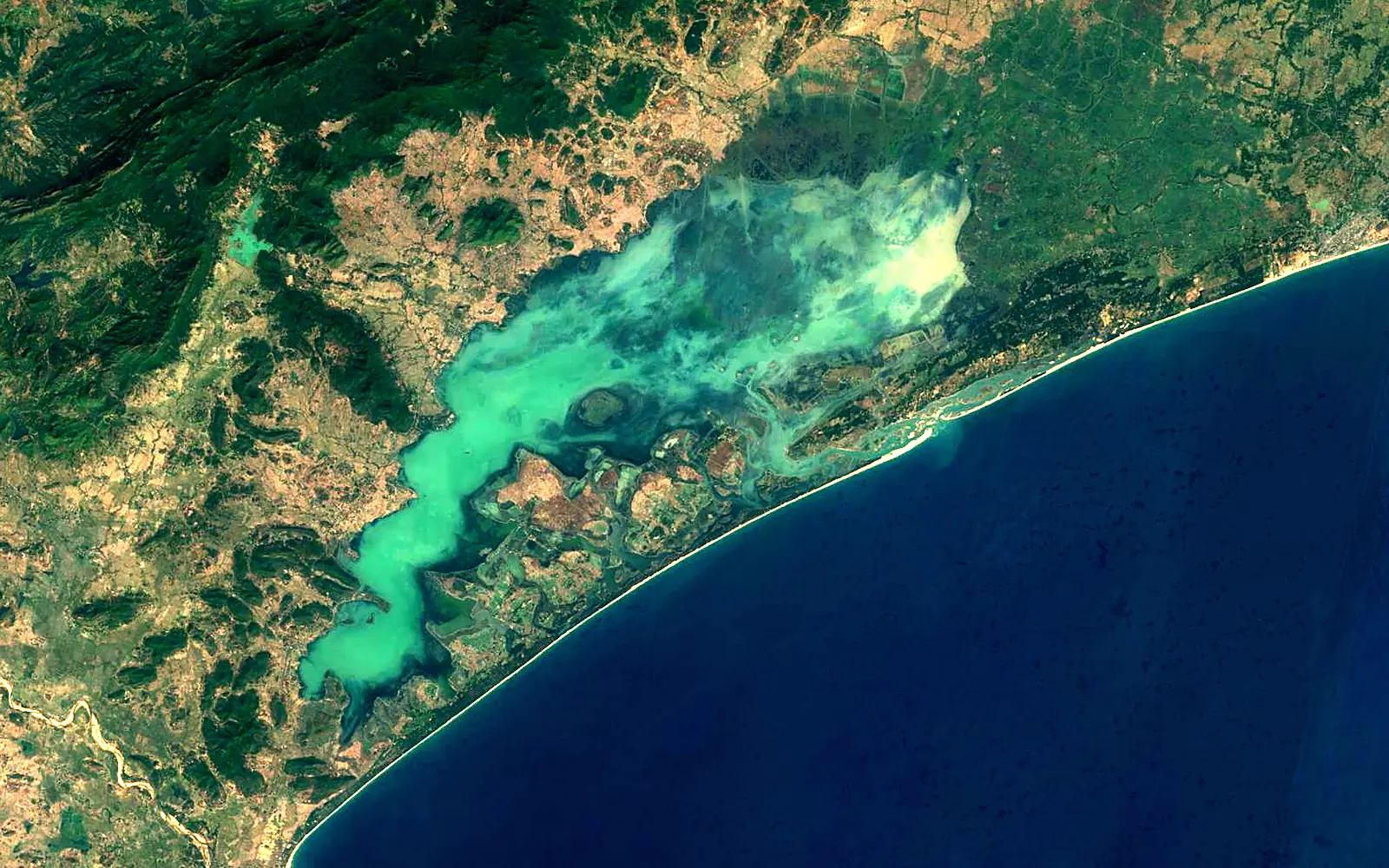 Chilika Lake seen from space (Sentinel-2)
