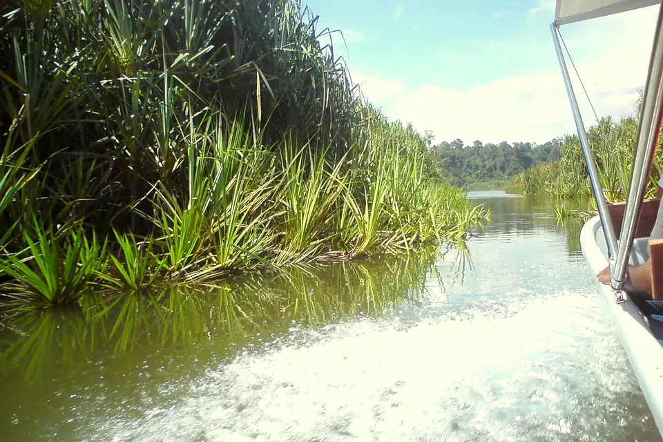 Tasik chini 01