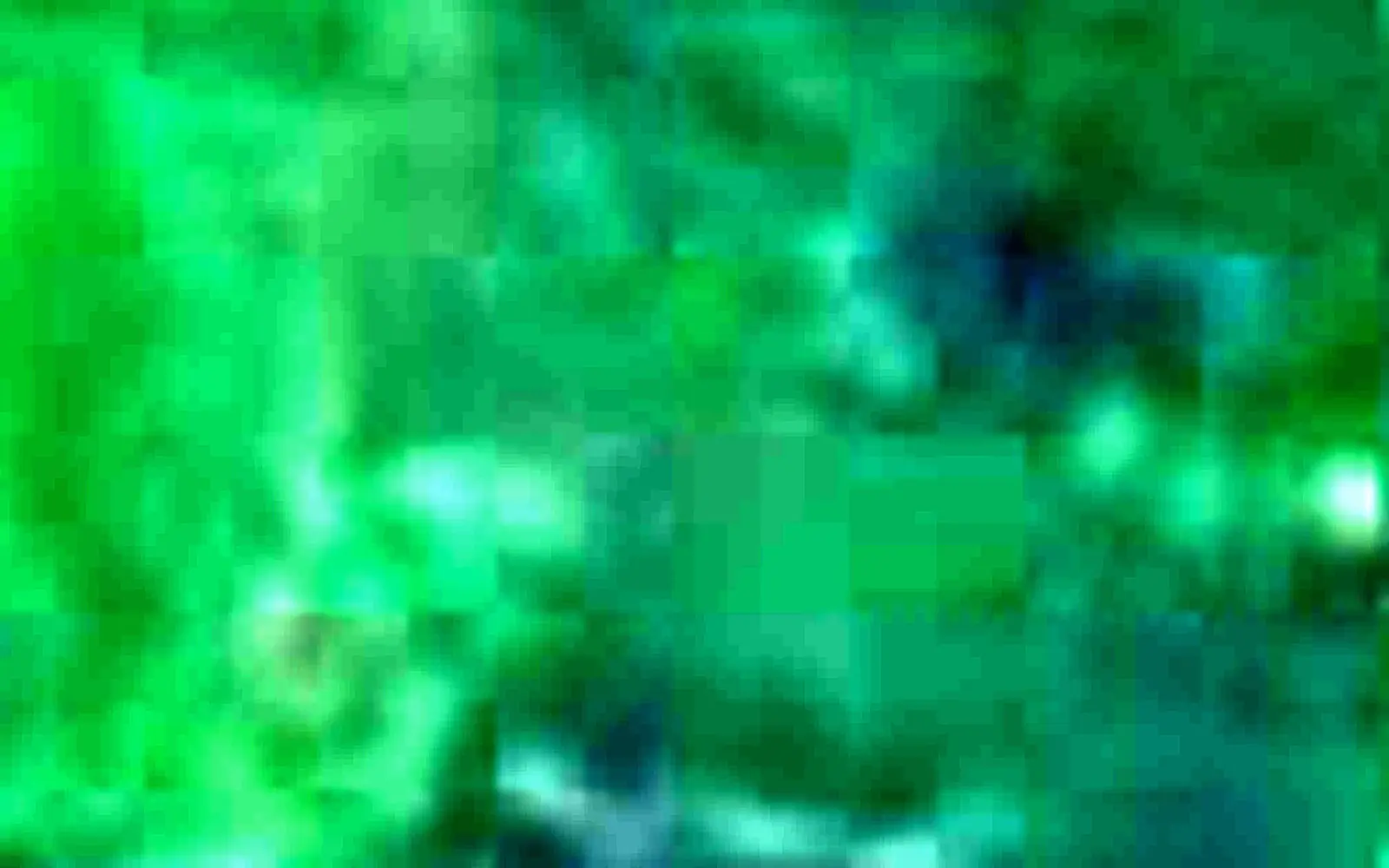 Chini Lake seen from space (Sentinel-2)