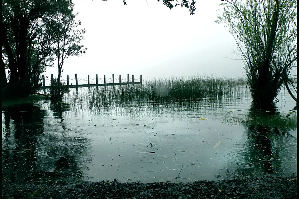 A Rainy Day In front of the lake - panoramio