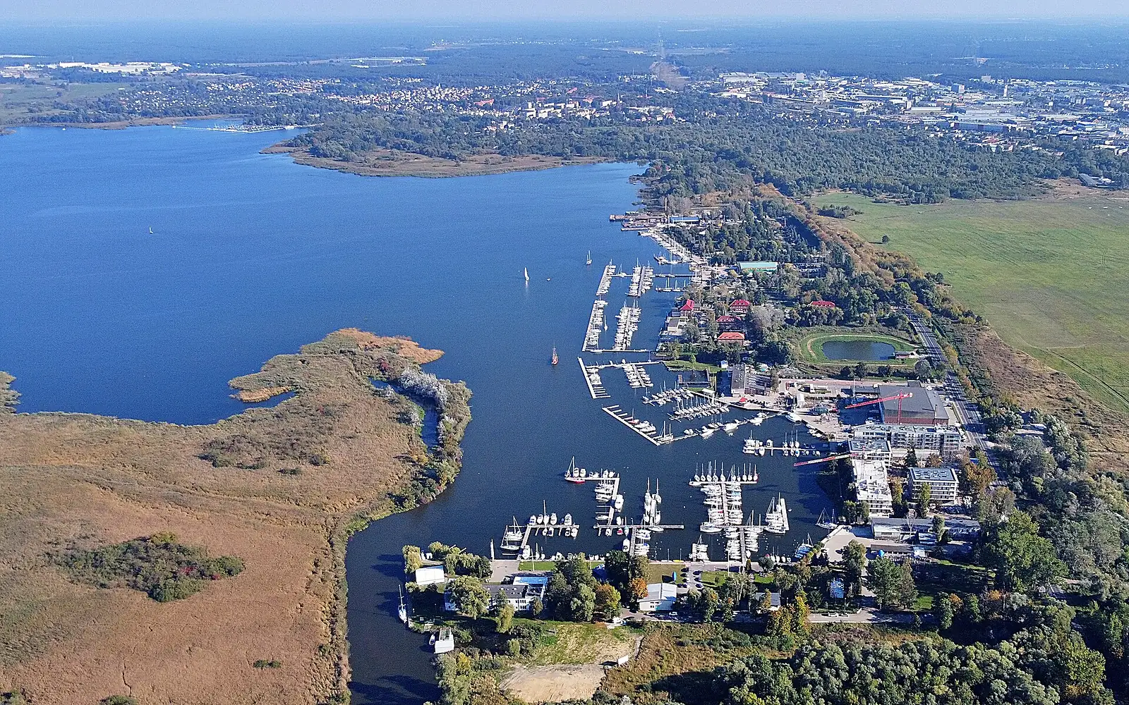 Jezioro Dabie brzeg poludniowy