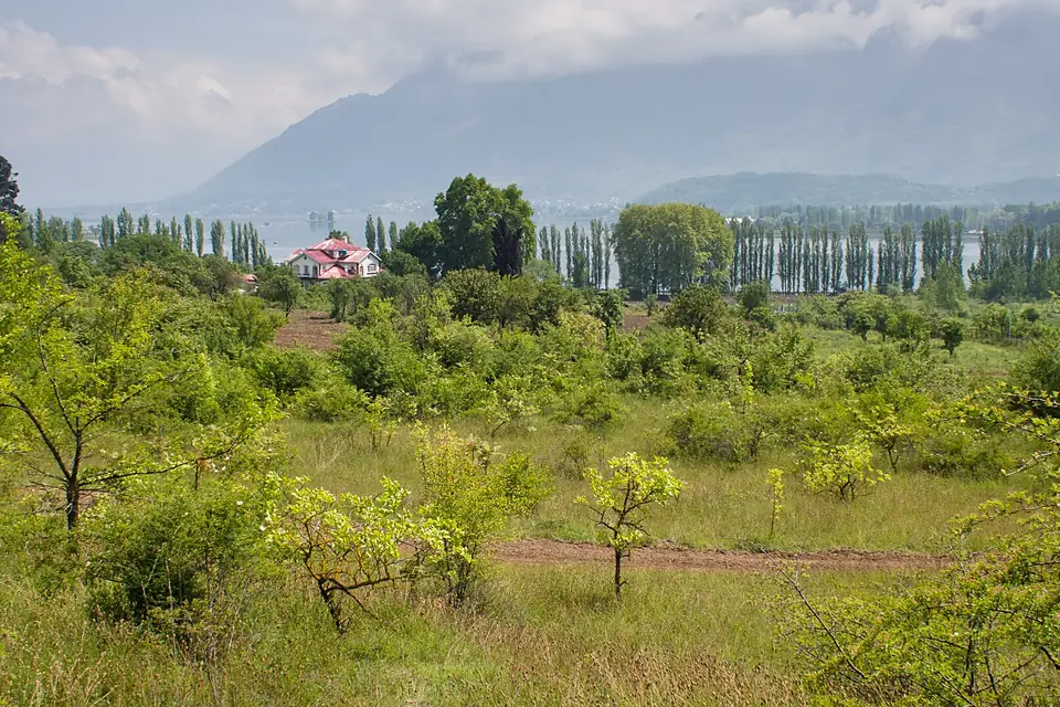 Almond Villa and Dal Lake (14548618152)