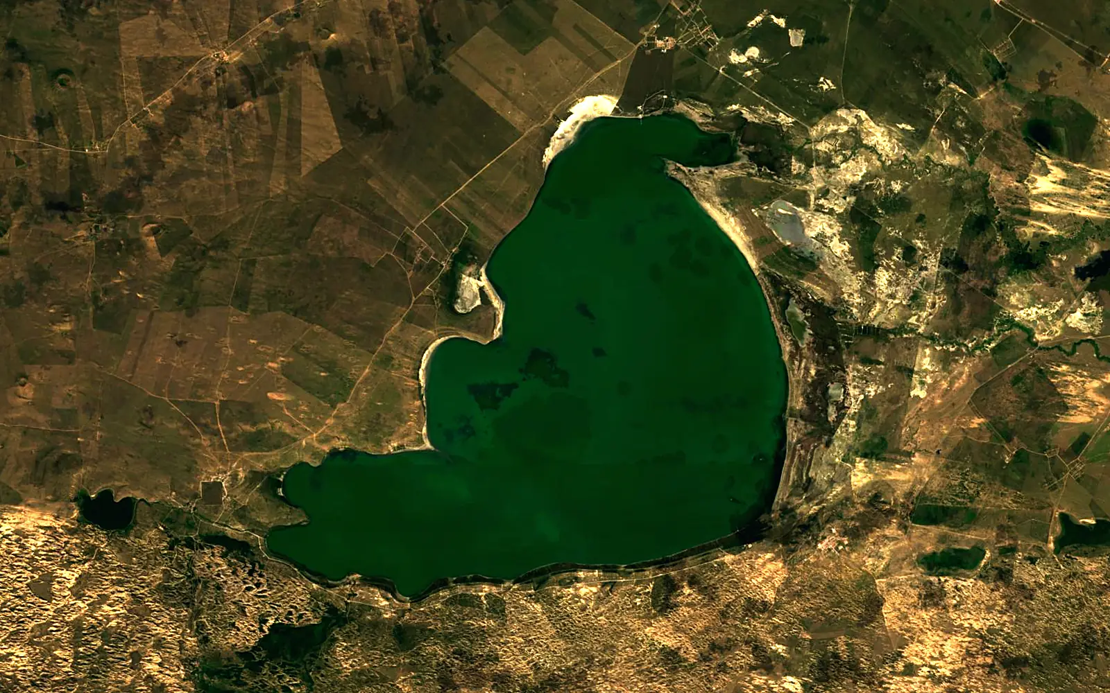 Dalai Nur seen from space (Sentinel-2)