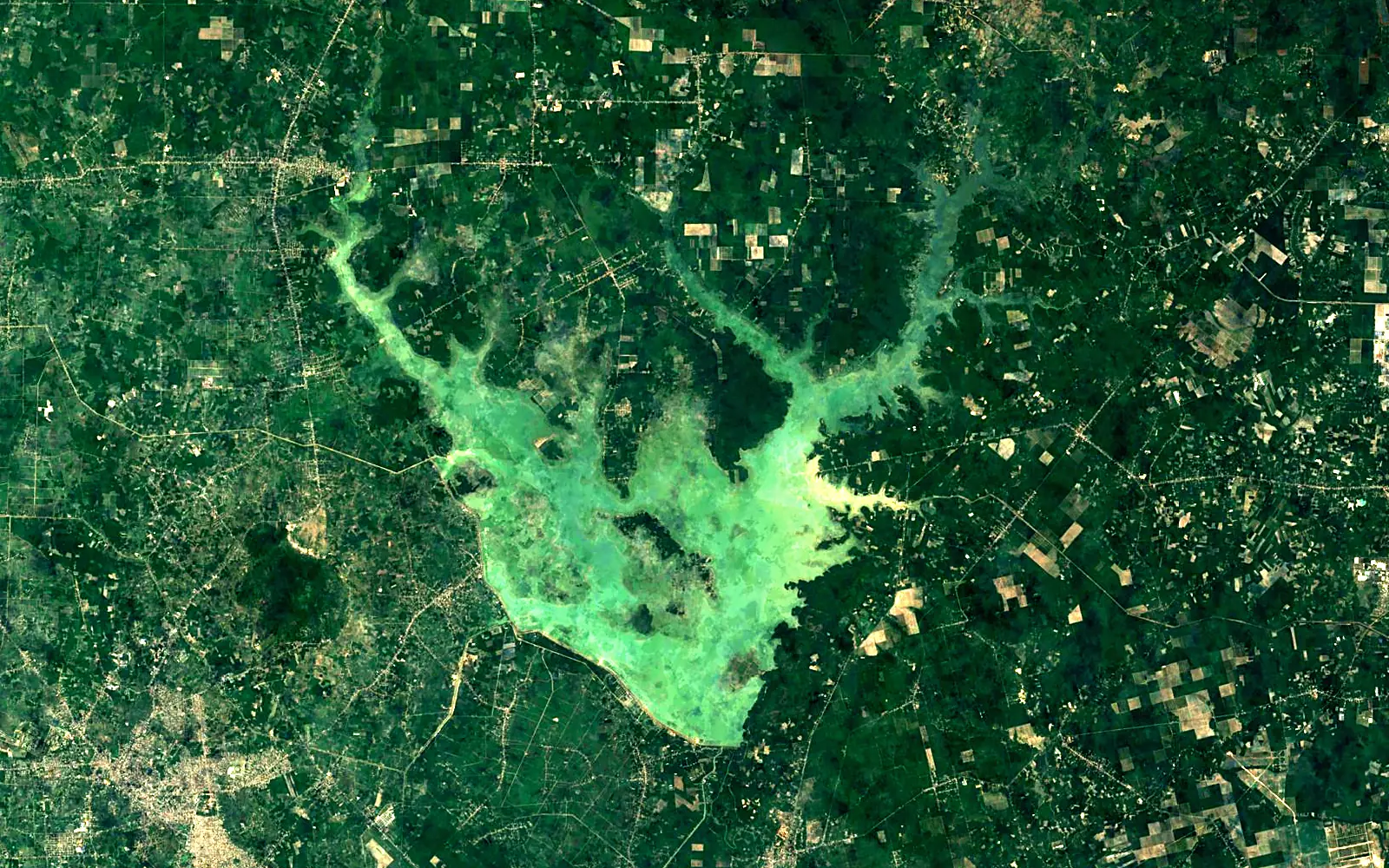 Dau Tieng Reservoir seen from space (Sentinel-2)