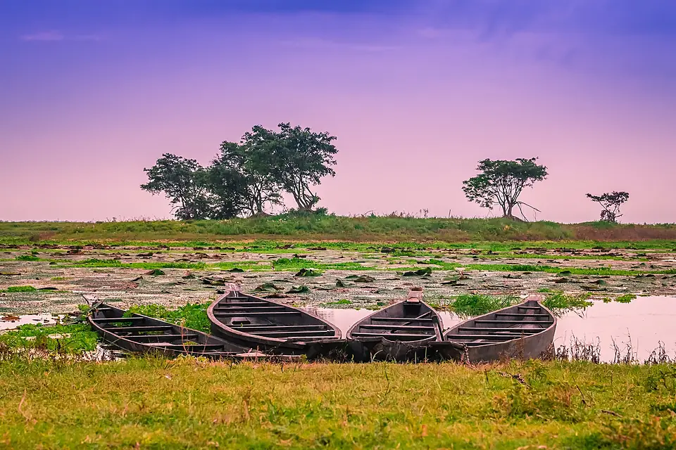 Boats at Deepor bil