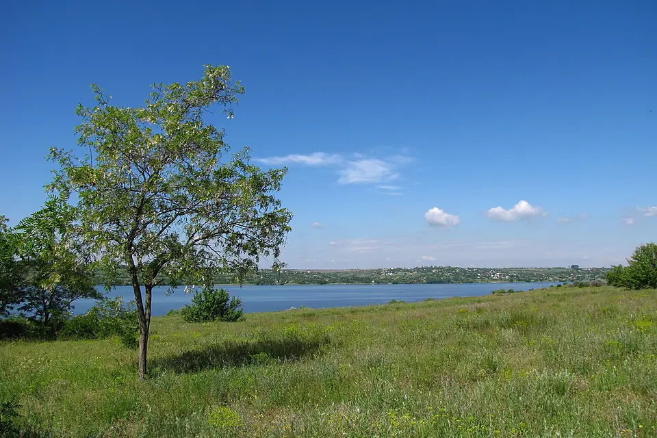 Dnieper river and Robinia pseudoacacia file 01