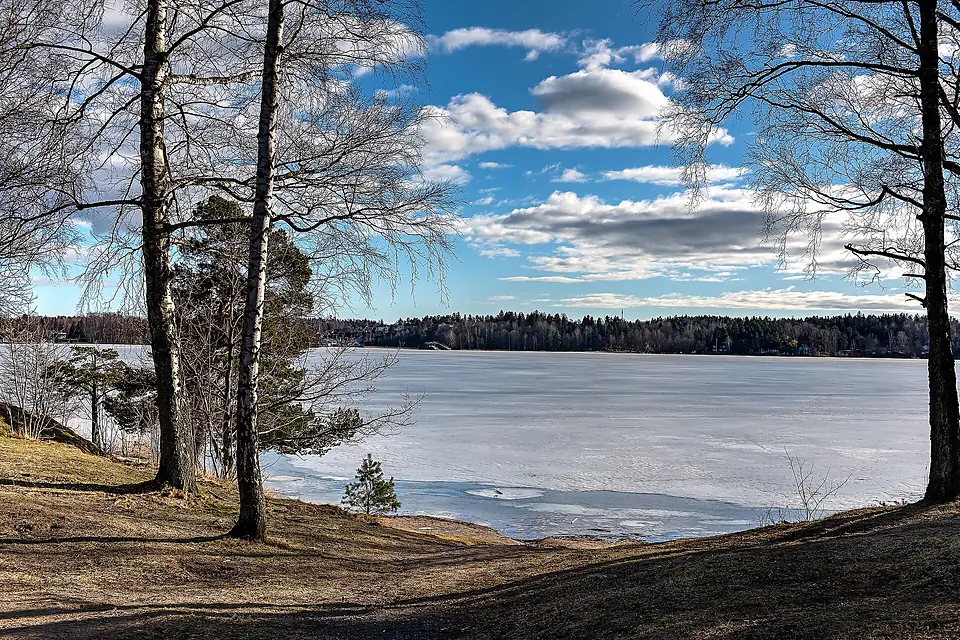 Drevviken (16698431836)
