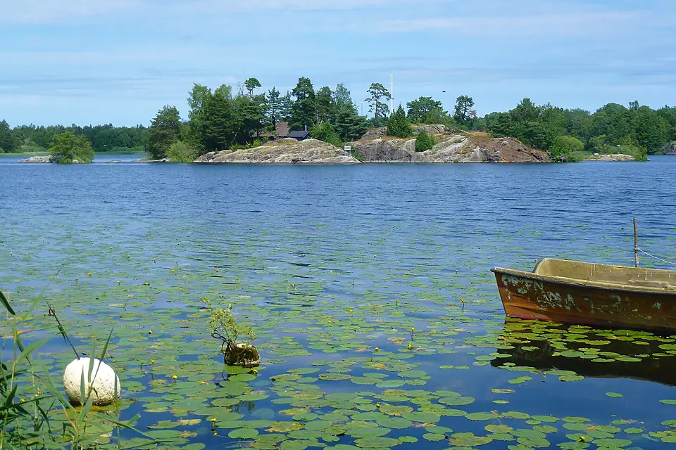 Drevviken Kaninholmen 2015