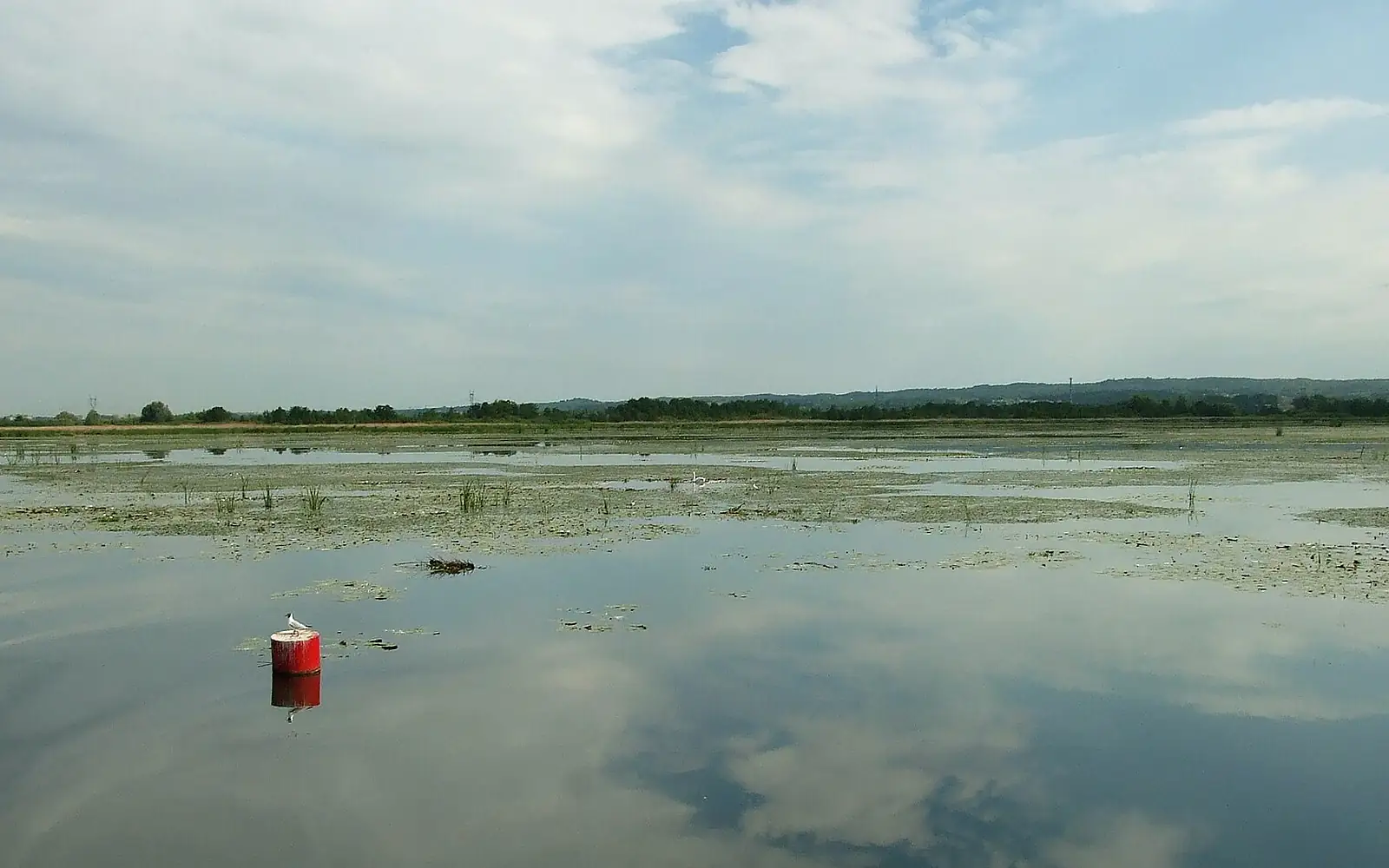 Jezero Drużno, bóje