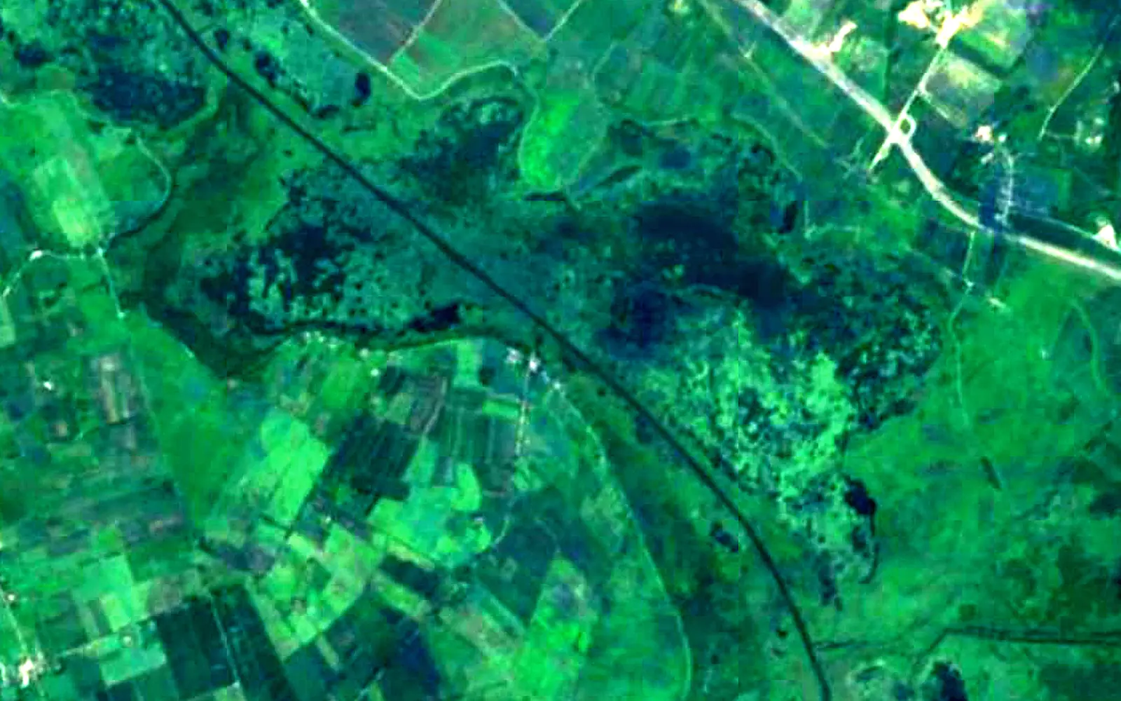 Drużno seen from space (Sentinel-2)