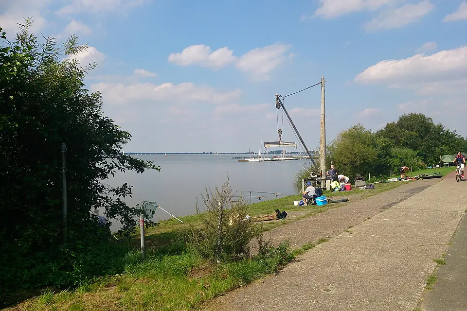 Am Dümmer See - panoramio