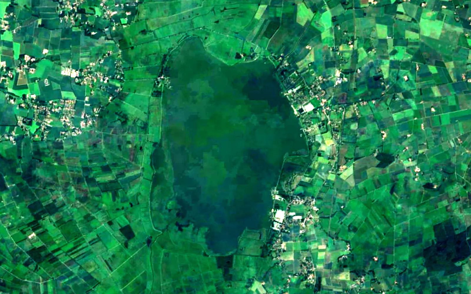 Dümmer seen from space (Sentinel-2)