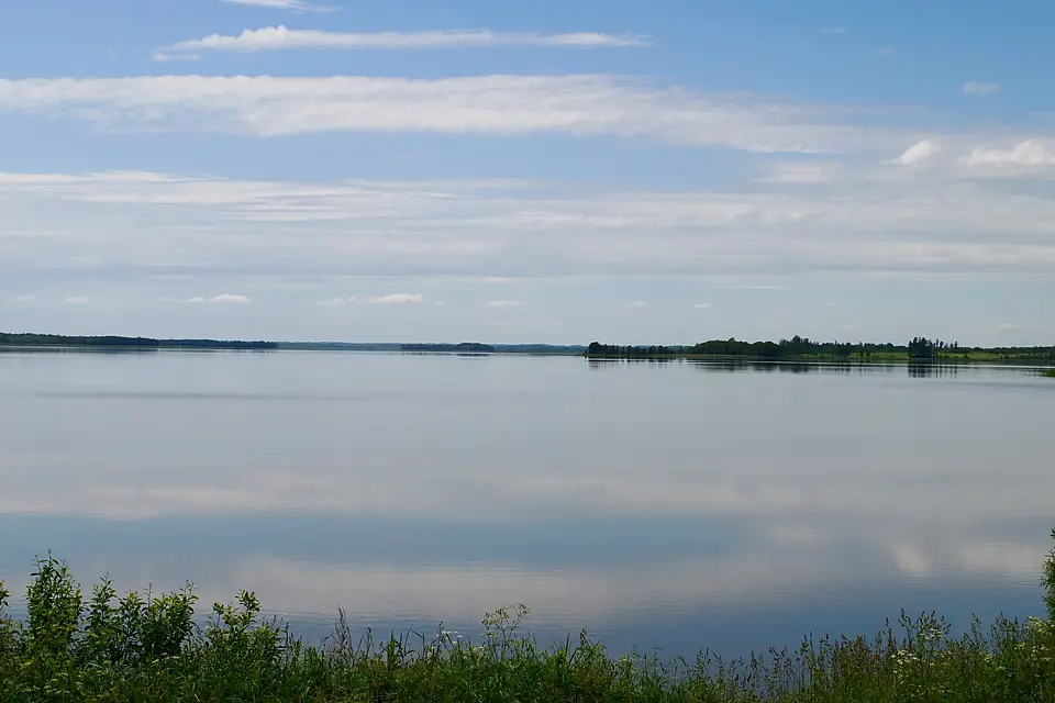 Dysnai nuo Čižiūnų, 2