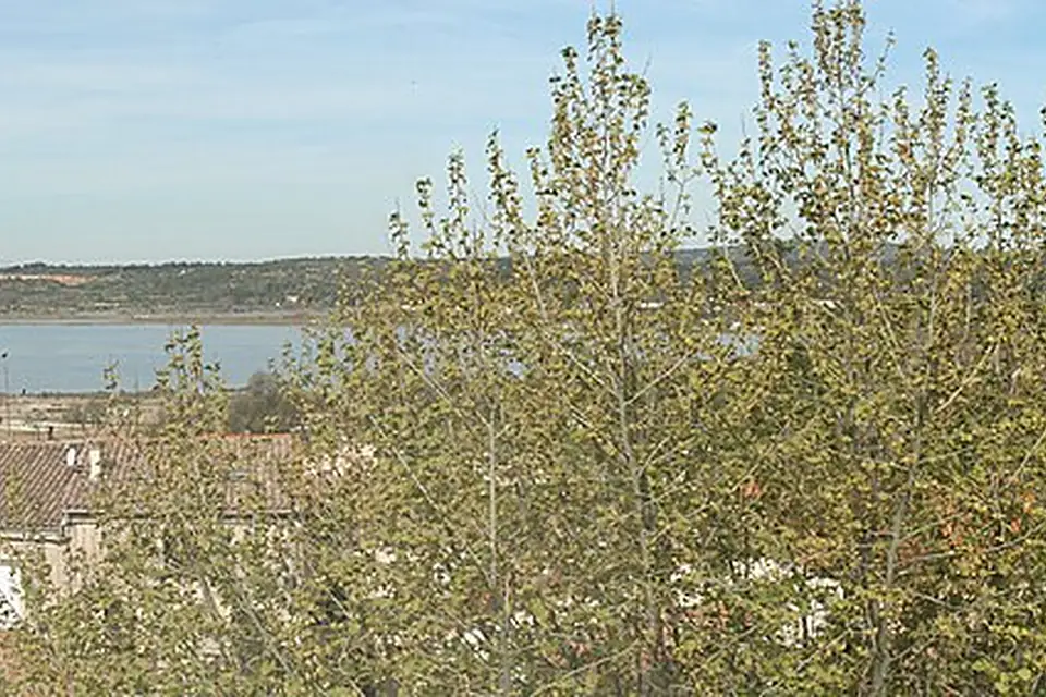 Balaruc-le-Vieux panorama