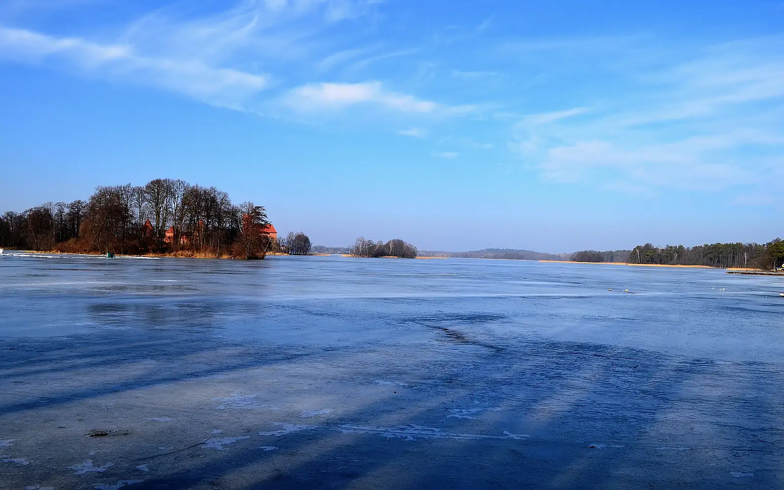 Galvė žiemą