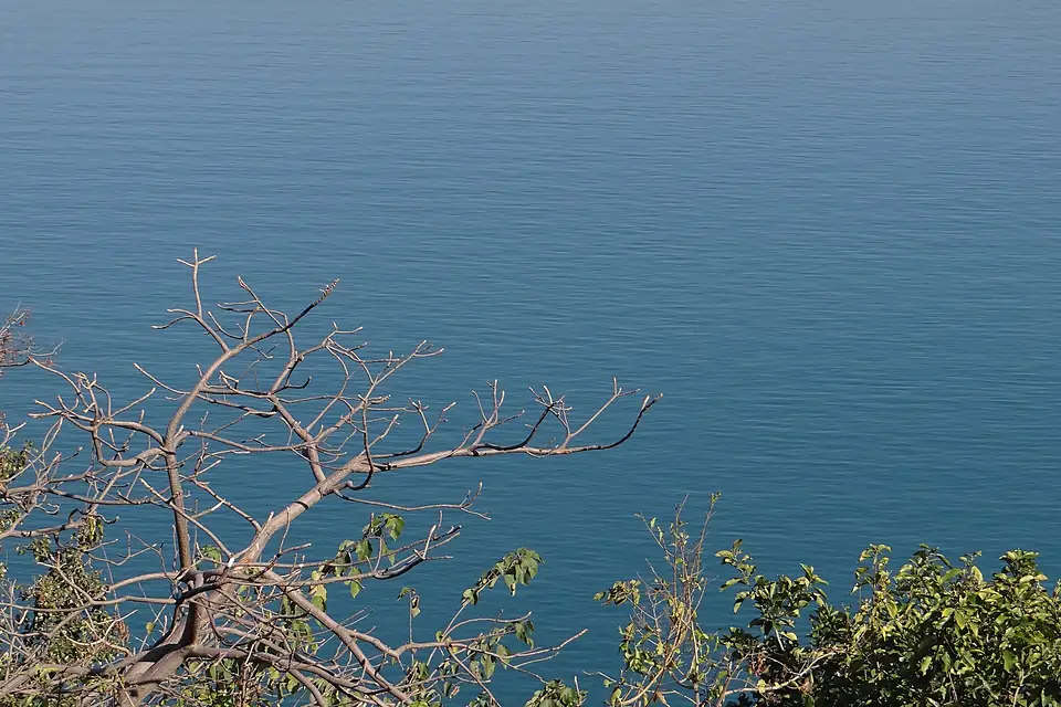 Gobind Sagar lake water view ambuj
